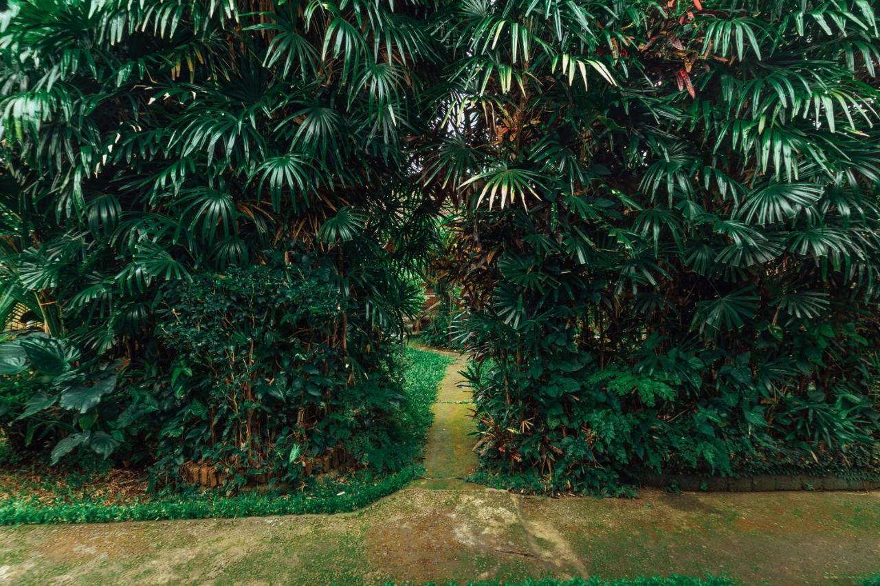 Suastika Lodge Ubud Exteriör bild